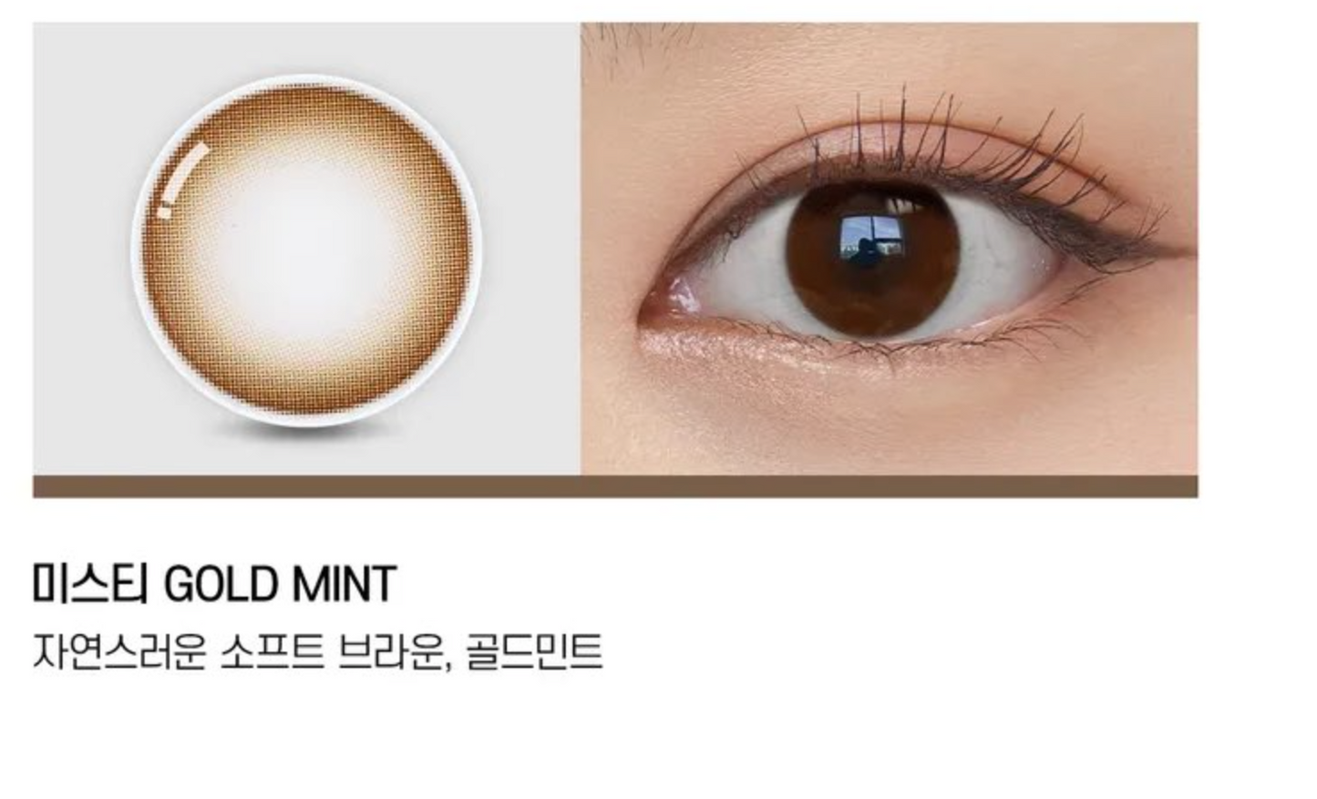 OLENS - MISTY ASH CHOCO 日拋隱形眼鏡 / 20片