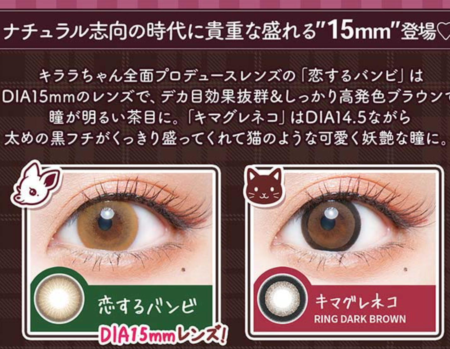 FLURRY 1DAY - TULLE BLACK daily disposable/10 tablets