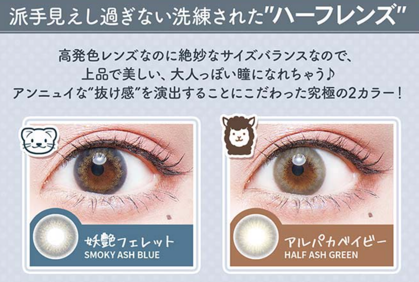 FLURRY 1DAY - RING DARK BROWN daily disposable/10 tablets