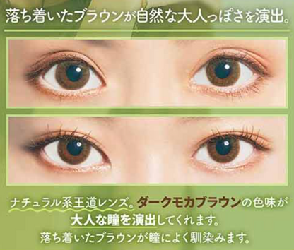 COLORS1DAY - NATURAL BEIGE BROWN - 日拋隱形眼鏡 / 10片
