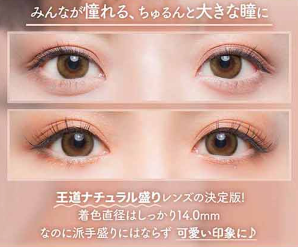 COLORS1DAY - NATURAL PURE BROWN - 日拋隱形眼鏡 / 10片