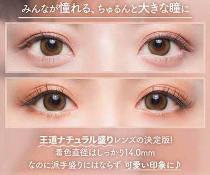 COLORS1DAY - NATURAL WARM BROWN - 日拋隱形眼鏡 / 10片